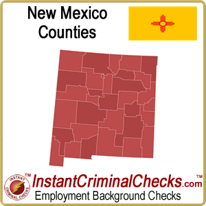 New Mexico County Criminal Background Checks