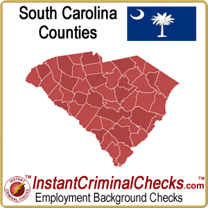 South Carolina County Criminal Background Checks