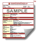 Criminal Background Check Sample