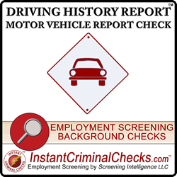 DMV Motor Vehicle Report Check
