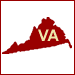 Virginia Background Check