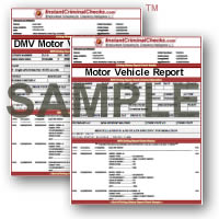 MVR Driving History Report Check Sample